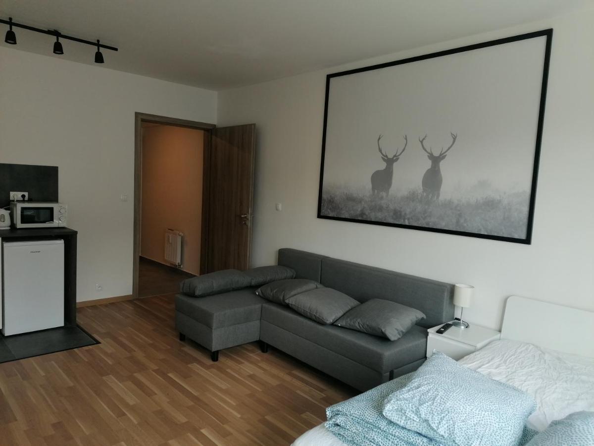 Brand New #21 With Free Secure Parking In The Center Appartement Praag